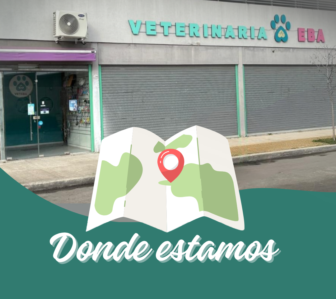 Ubicación VETEBA